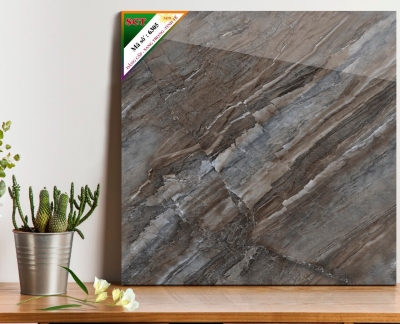 Gạch World Tiles SCT 6305
